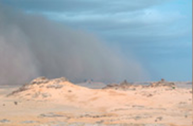 sandstorm-panel-550.jpg