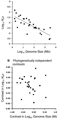 lynchfig5.png