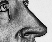 nickel-nose.png