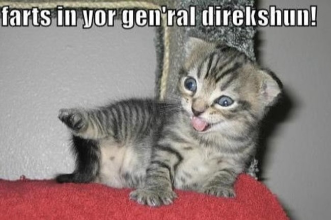 Sexually Aroused By Farts You Re Not Alone Discover Magazine