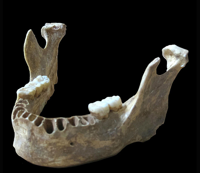 DSC-D0817 08