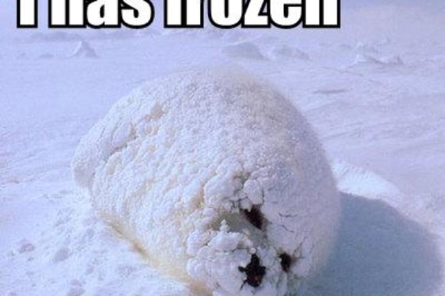 Download Freezing Your Head May Anger Your Wife Discover Magazine For iPhone Wallpaper Freezing Your Head May Anger Your Wife Discover Magazine For iPhone Free