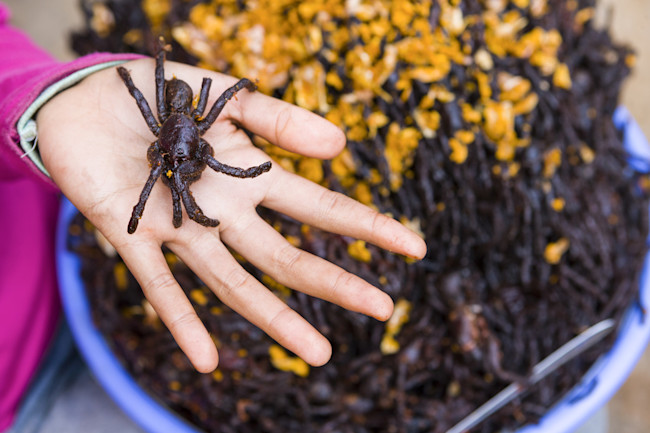 fried_tarantula-1.jpg