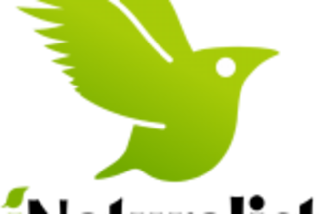 iNaturalist