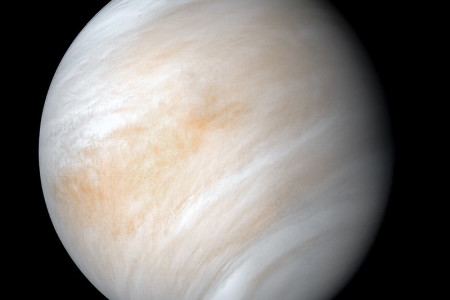 The Curious Question of Life on Venus 