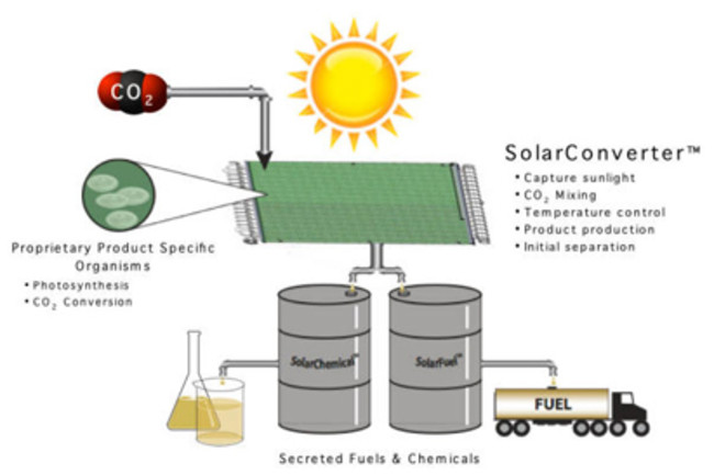 joule-biotechnologies.jpg