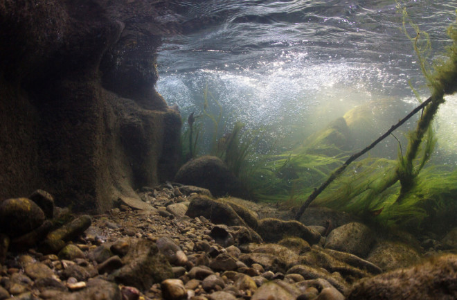 Bottom of Lake