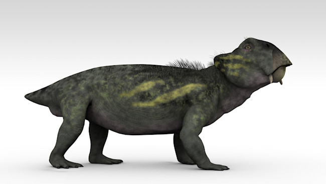 lystrosaurus