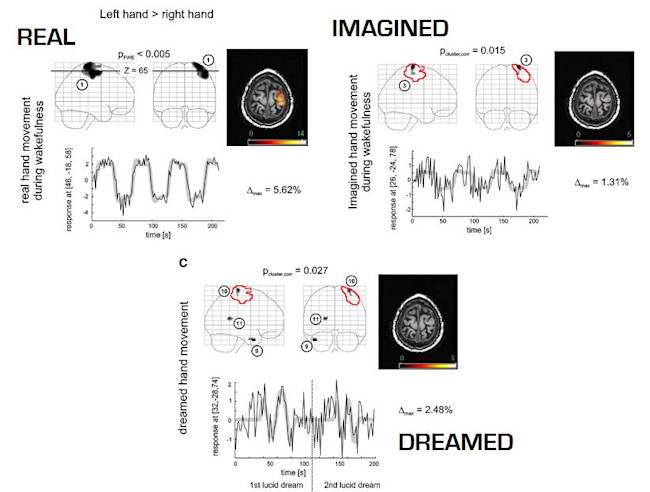dreamisreal.jpg