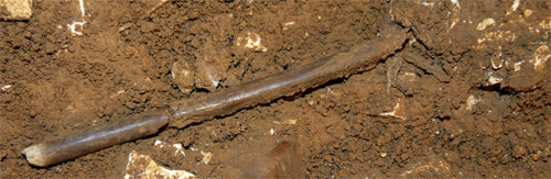 Fluteinground.jpg