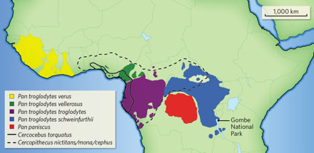 siv-map.jpg