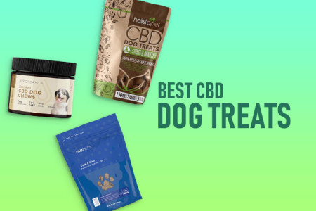 3 Best CBD Dog Treats: Organic CBD for Dogs