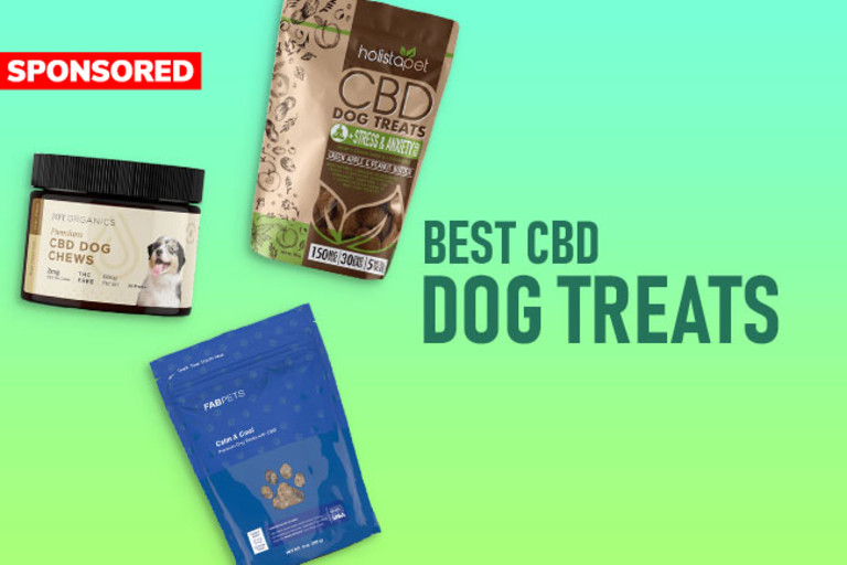 Best CBD Oil for Dogs: Top 5 Brands ...discovermagazine.com