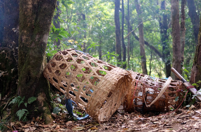 2 ancient wicker baskets in the forest