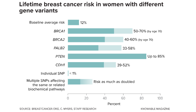 Cancer Risk By Age Chart
