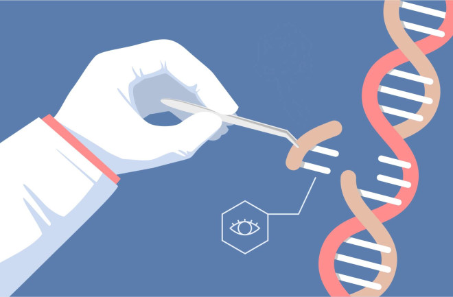 CRISPR eye gene editing illustration - shutterstock