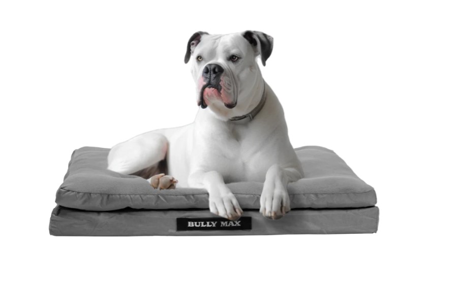 Chew Proof Dog Beds: BuddyRest World's Toughest Dog Beds