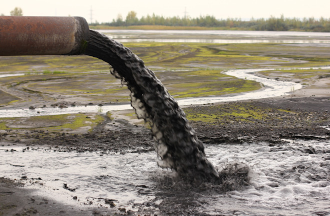Sewage Sludge Could Transform Into Food for Animals or Fuel for Cars | Discover Magazine