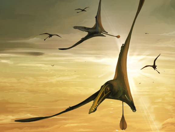 Skye Pterosaur