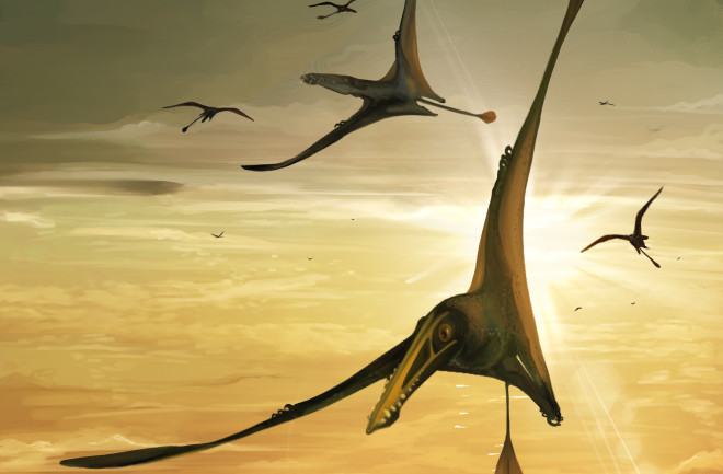 Skye Pterosaur