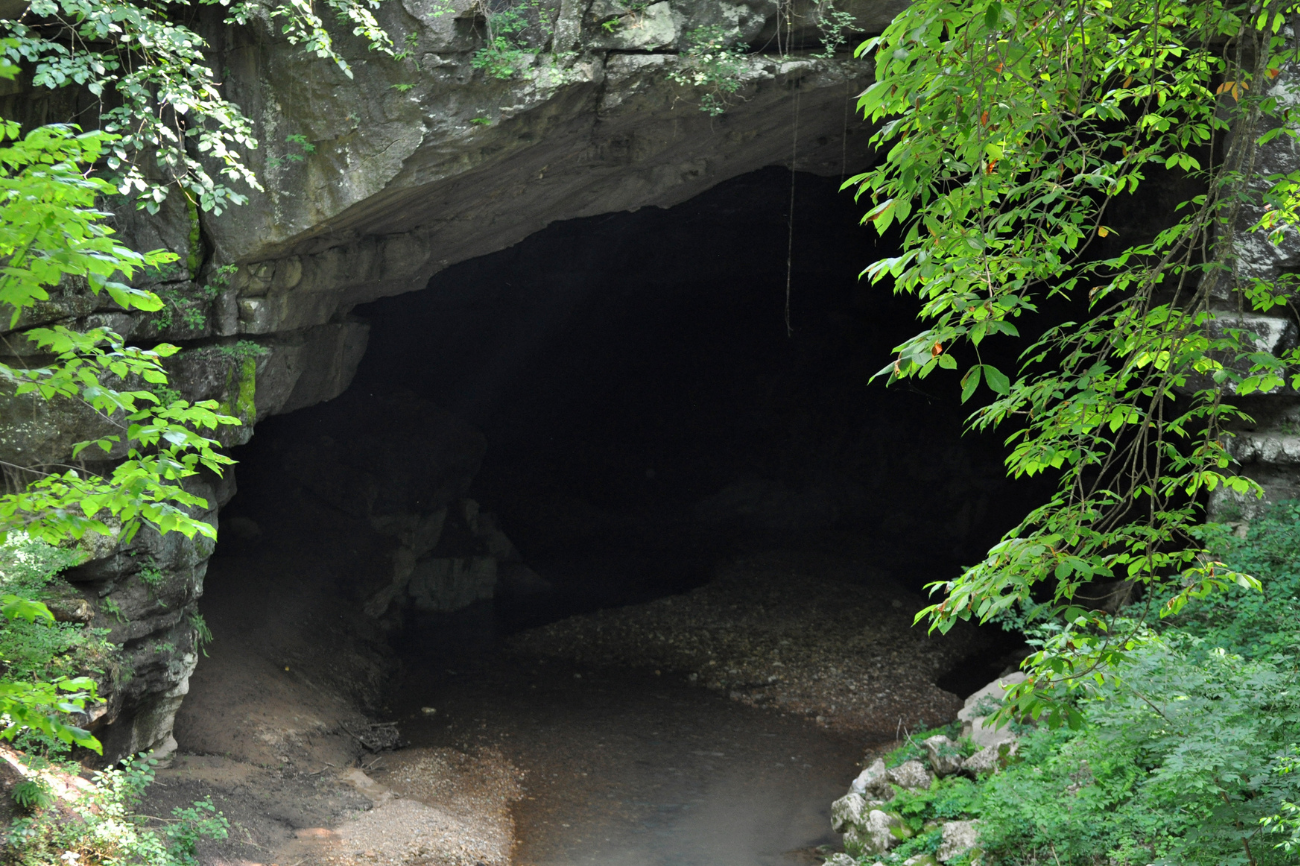 3D Scans Reveal Ancient Art in Secret Alabama Cave