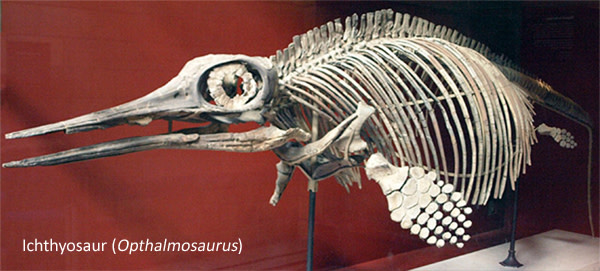 Ichthyosau.jpg