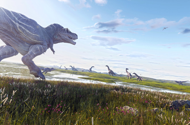 dinosaur hunting herd Alamosaurus Tyrannosaurus Rex - Shutterstock