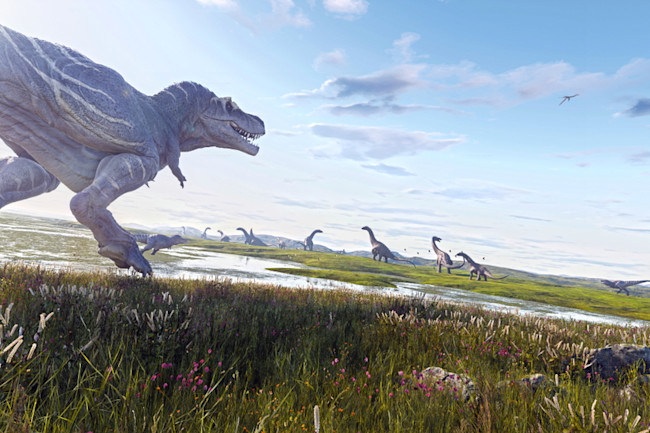 Were Dinosaurs Social Creatures Or Lone Rangers Discover Magazine