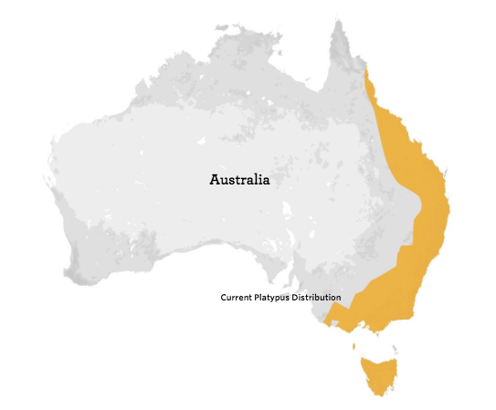 Platypus Range Map - bioGraphic