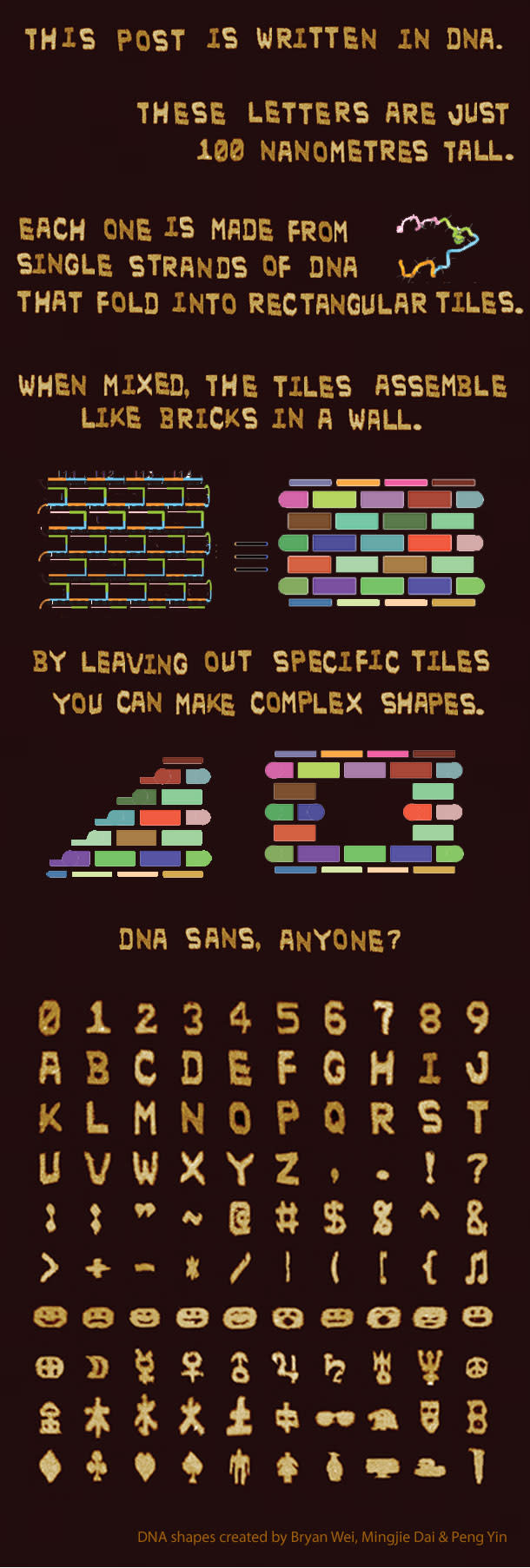 DNA-letters.jpg