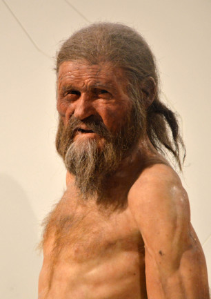 Reproduction of Oetzi the Similaun Man in the South Tyrol Museum of Archaeology in Bolzano