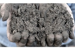 soil