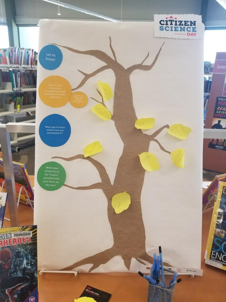 tree-display-768x1024.jpg