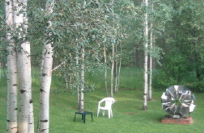 aspens_sculpture.jpg