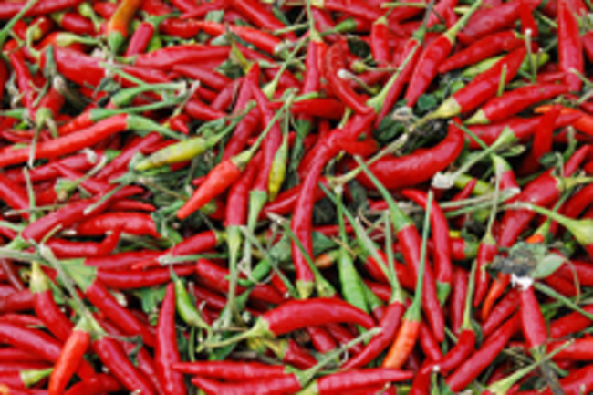 chilis220.jpg