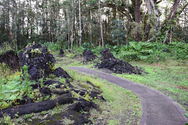 Lava Tree State Monument, Hawaii - Christie Wilcox
