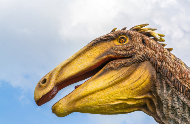 A Dinosaur Lover's Dream: Travel Back to the Times of Deinocheirus