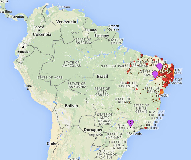 zika-virus-overlay-3-copy.jpg