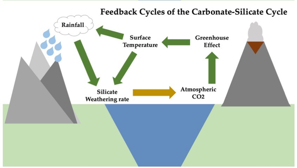 carbon cycle