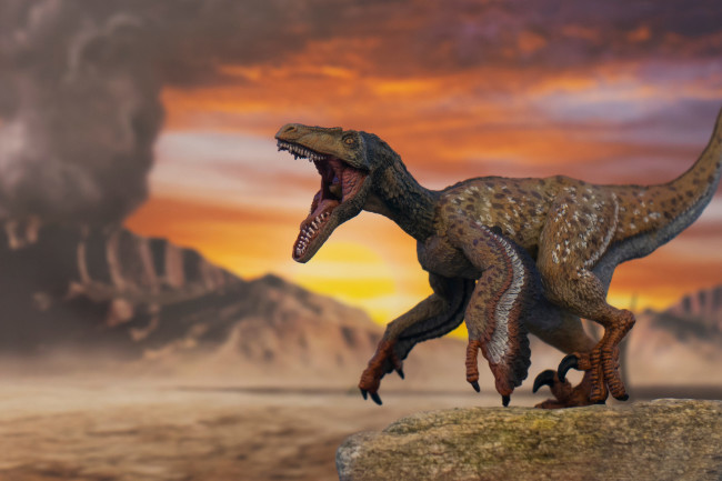 What did T. rex really look like? •