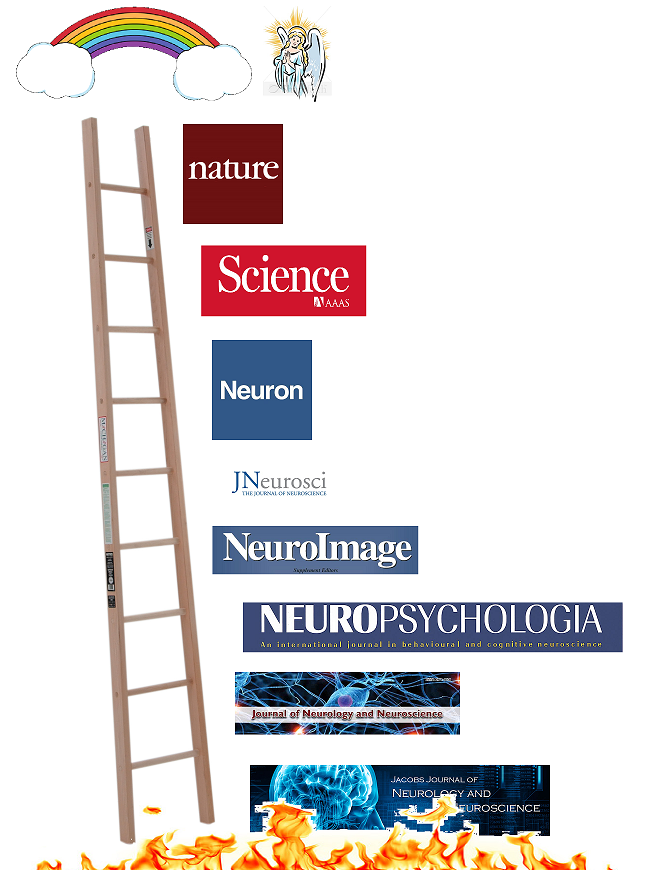 Discover magazine archives image