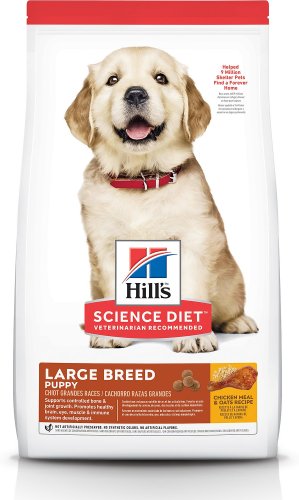 best dog food for lab shepherd mix