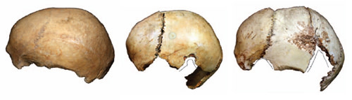 Skull_cup.jpg