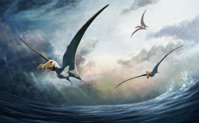 Pterosaur dinosaur illustration