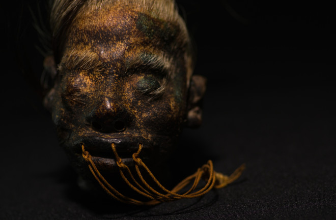 Shrunken head