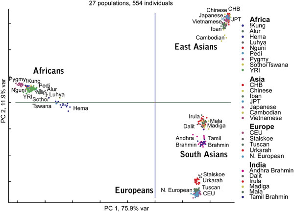 human-races-may-have-biological-meaning-but-races-mean-nothing-about