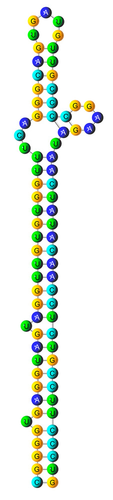 microRNA