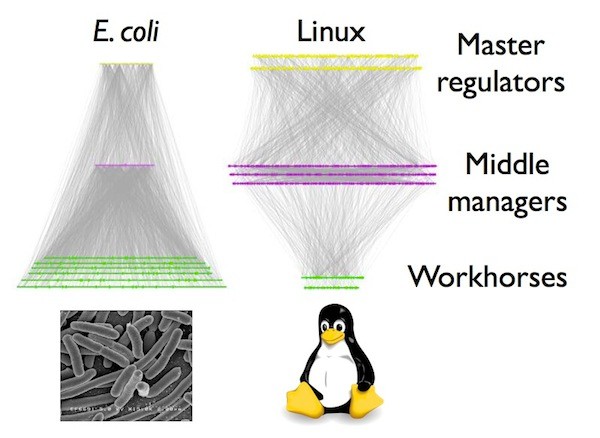 transcriptedit2.0011.jpg