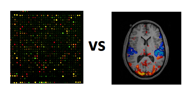 genebrain.png