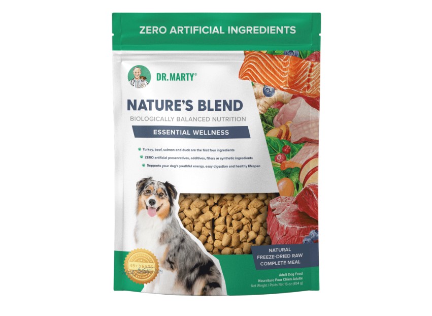 11 Best Dog Foods 2023